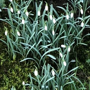 Meet your Posher, Natalia